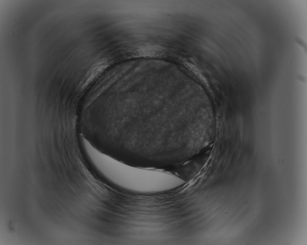 X0000091940154200710031124