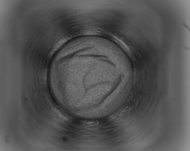 X0000091940155200710031124