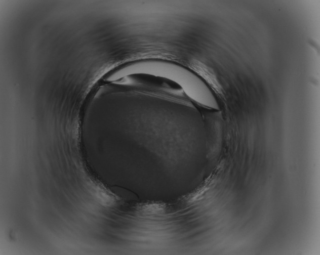 X0000091940156200710031124