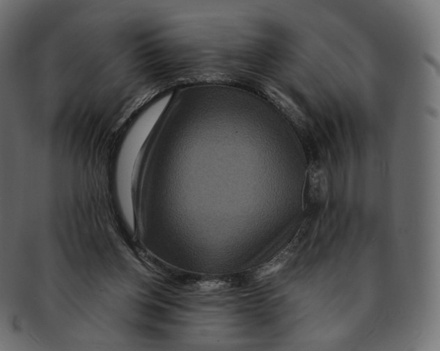 X0000091940158200710031124