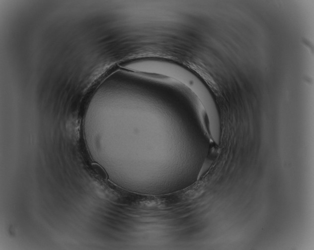 X0000091940160200710031124