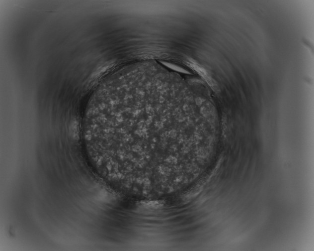 X0000091940161200710031124