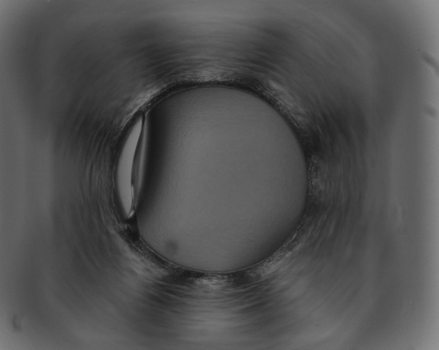 X0000091940164200710031124