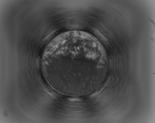 X0000091940165200710031124