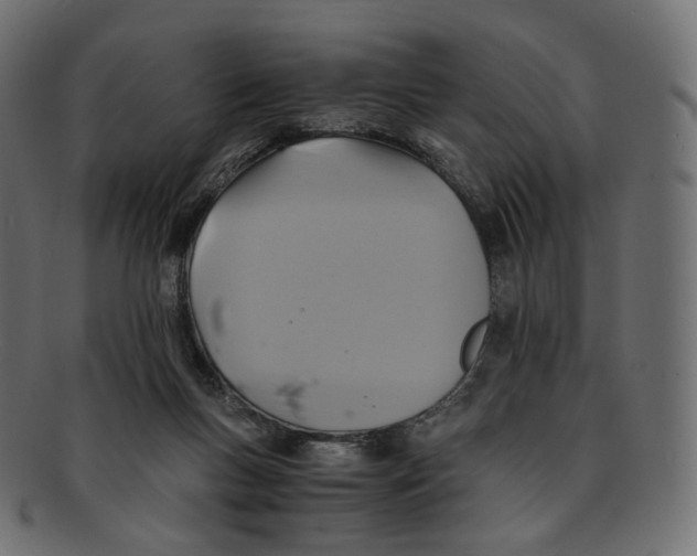 X0000091940167200710031124