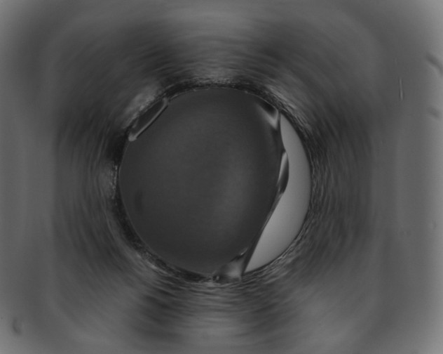 X0000091940168200710031124