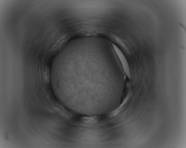 X0000091940170200710031124