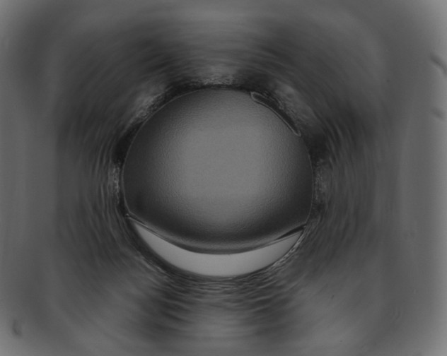 X0000091940172200710031124