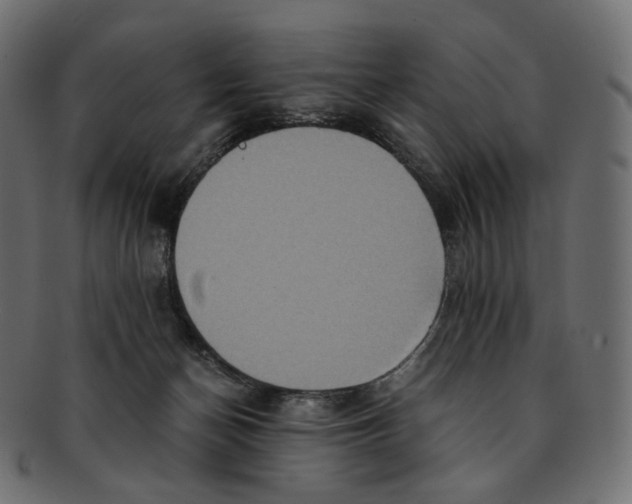 X0000091940174200710031124