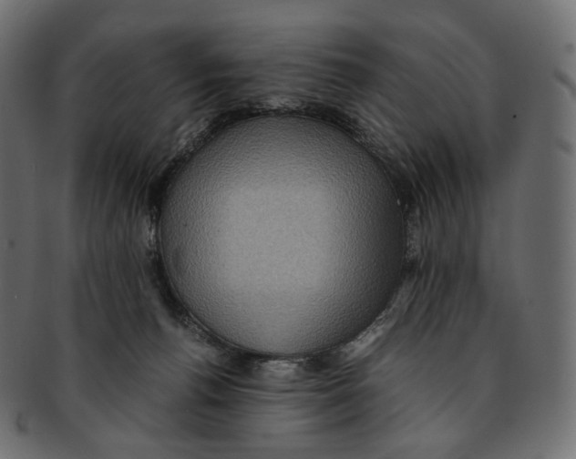 X0000091940176200710031124