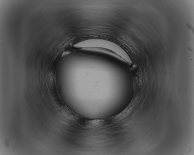 X0000091940184200710031124