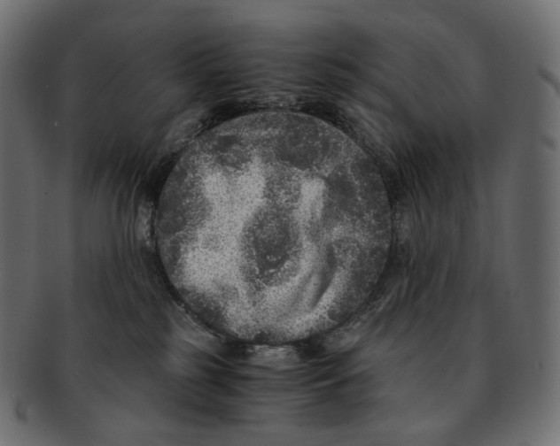 X0000091940185200710031124