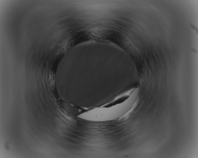 X0000091940186200710031124