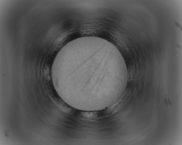 X0000091940187200710031124