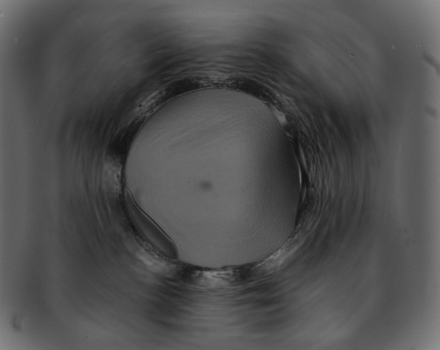 X0000091940188200710031124