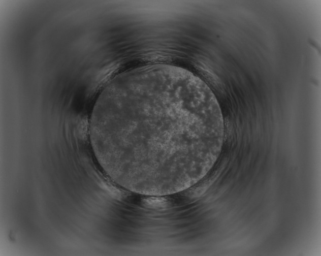 X0000091940189200710031124