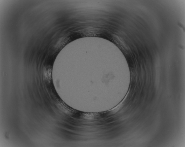 X0000091940190200710031124