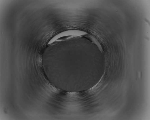 X0000091940192200710031124