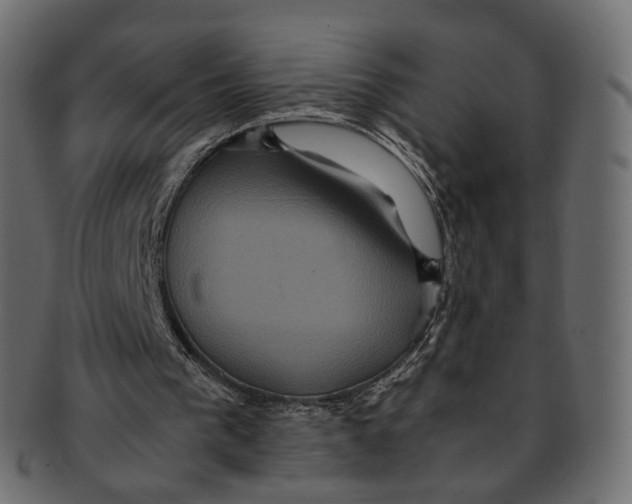 X0000091940193200710031124