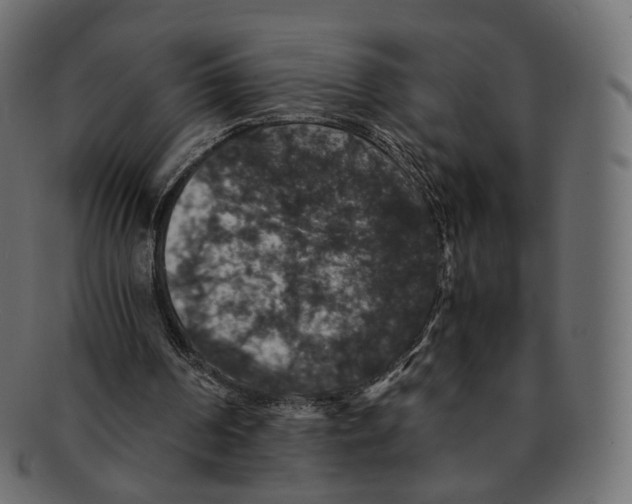 X0000091940194200710031124