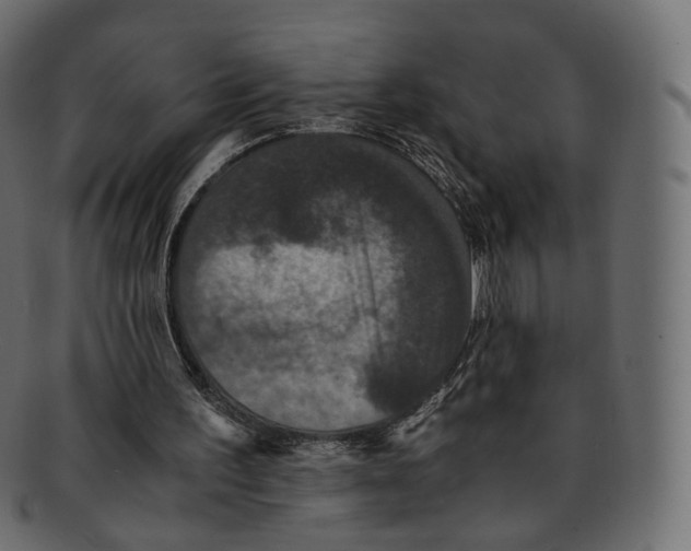 X0000091940195200710031124