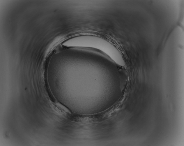 X0000091940197200710031124