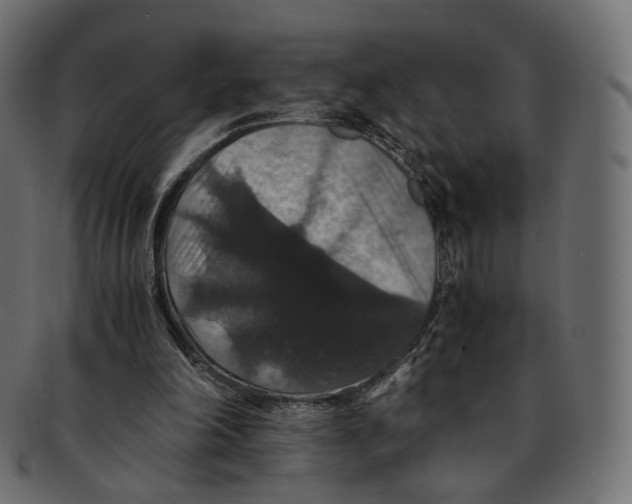 X0000091940198200710031124