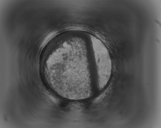 X0000091940199200710031124