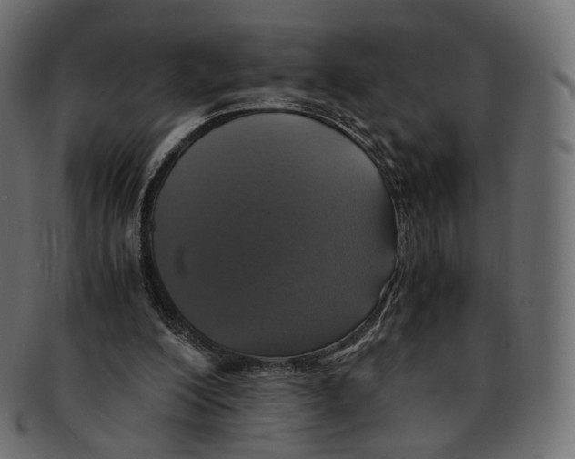 X0000091940200200710031124