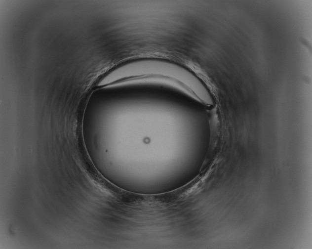 X0000091940201200710031124