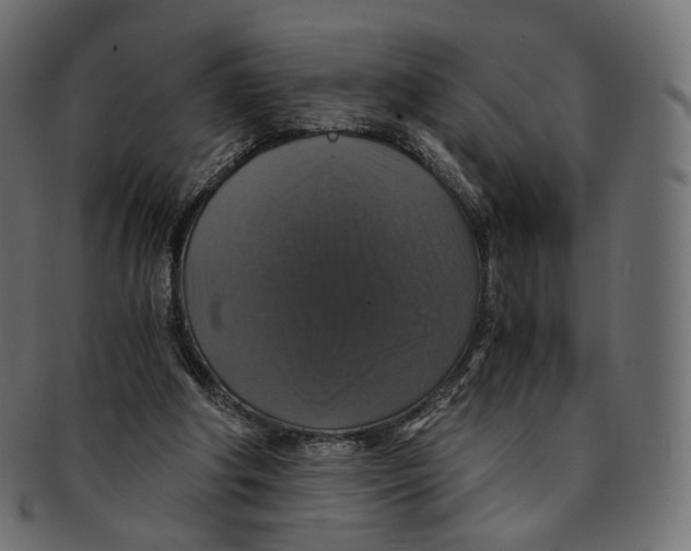 X0000091940202200710031124