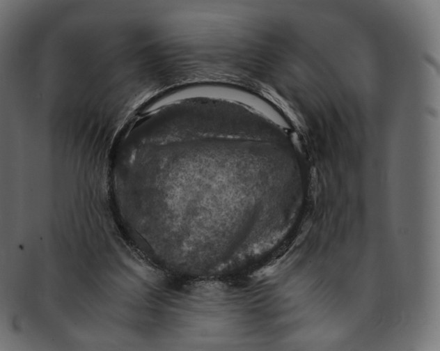 X0000091940203200710031124