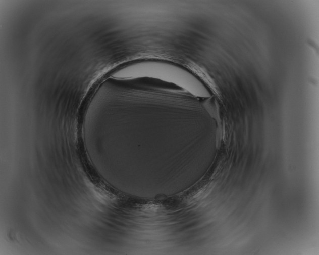 X0000091940204200710031124