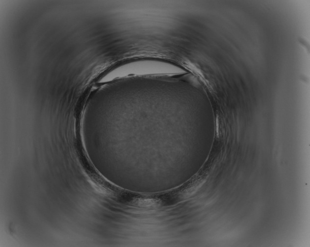 X0000091940205200710031124