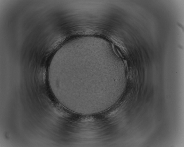 X0000091940206200710031124