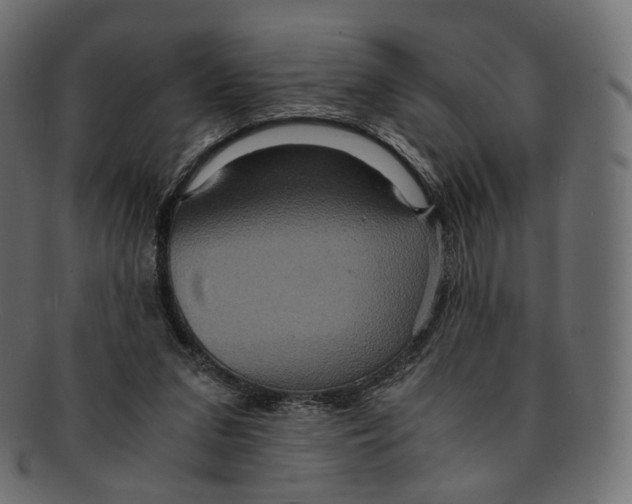 X0000091940207200710031124