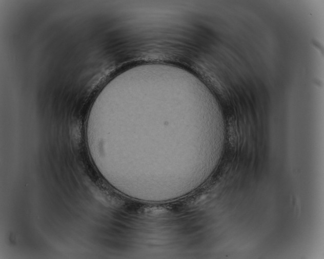 X0000091940208200710031124