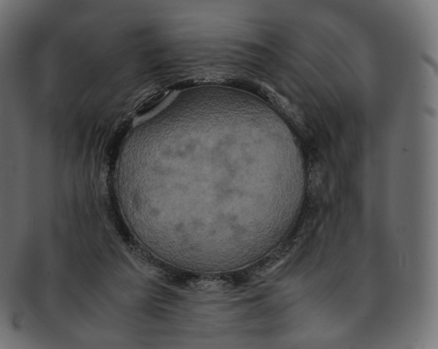 X0000091940209200710031124