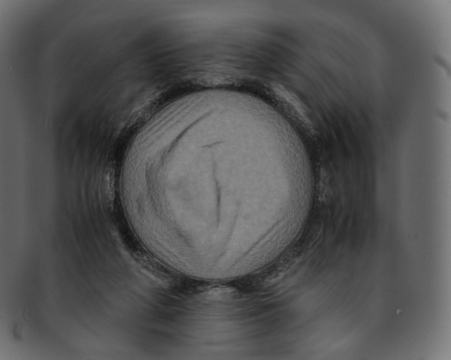 X0000091940210200710031123