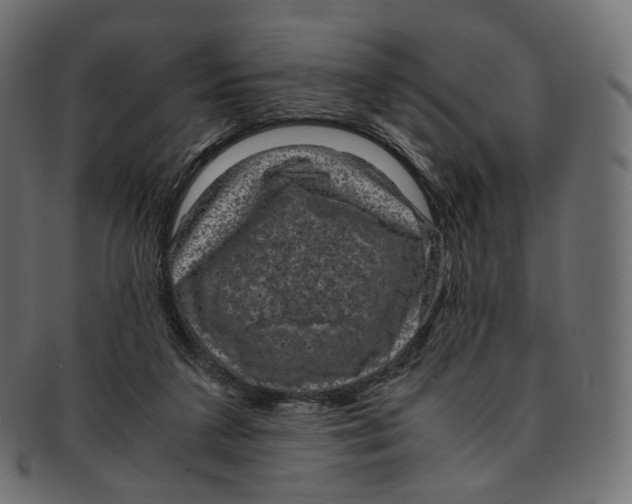 X0000091940211200710031123