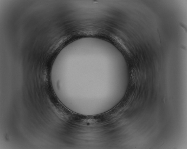 X0000091940212200710031123