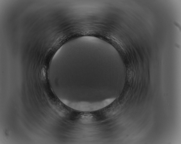 X0000091940214200710031123