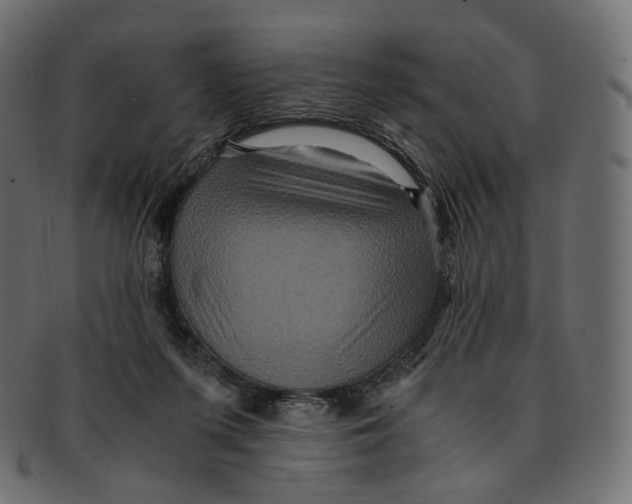 X0000091940215200710031123