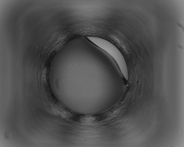 X0000091940217200710031123