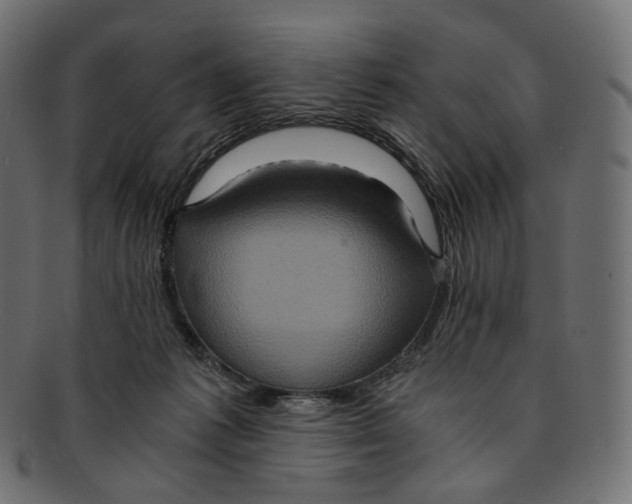 X0000091940221200710031123