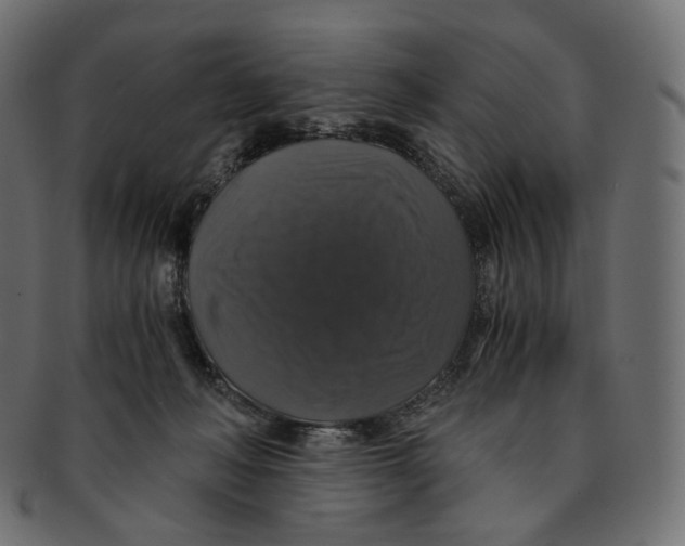 X0000091940222200710031123