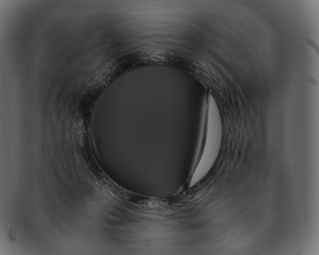 X0000091940223200710031123