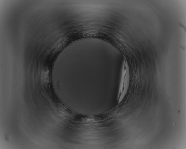 X0000091940224200710031123