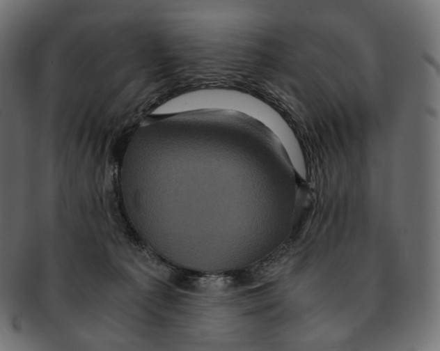 X0000091940225200710031123