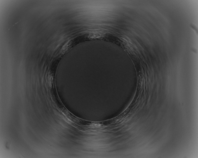 X0000091940227200710031123